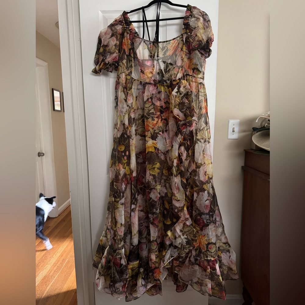 Selkie Sheer Gown, 3x
